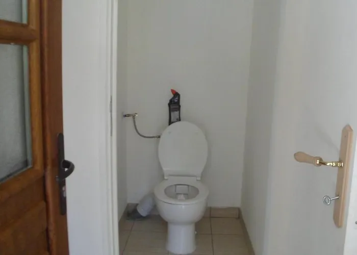 Проживание в семье Siros